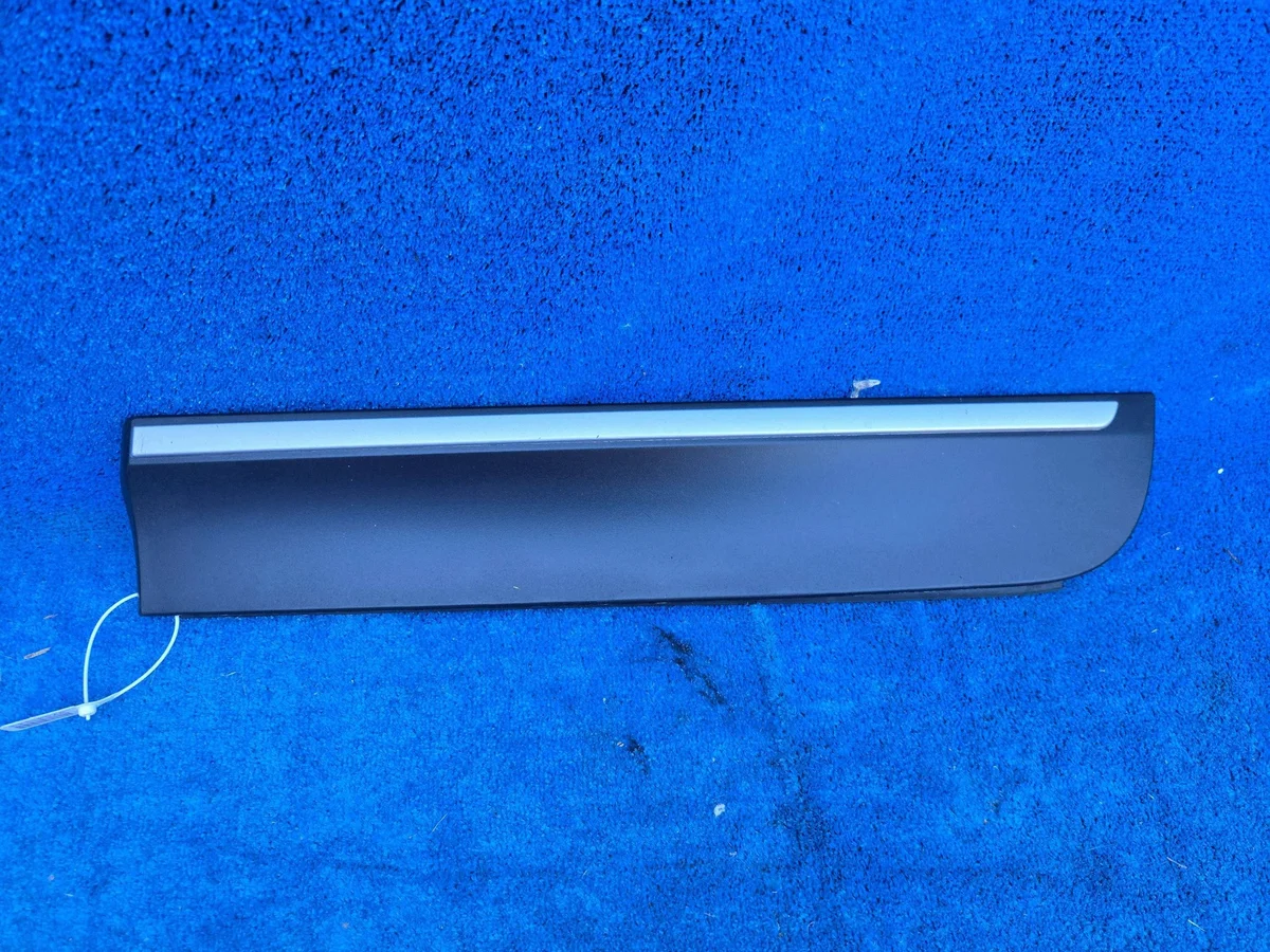 Türleiste hinten links BMW X3 F25 F26