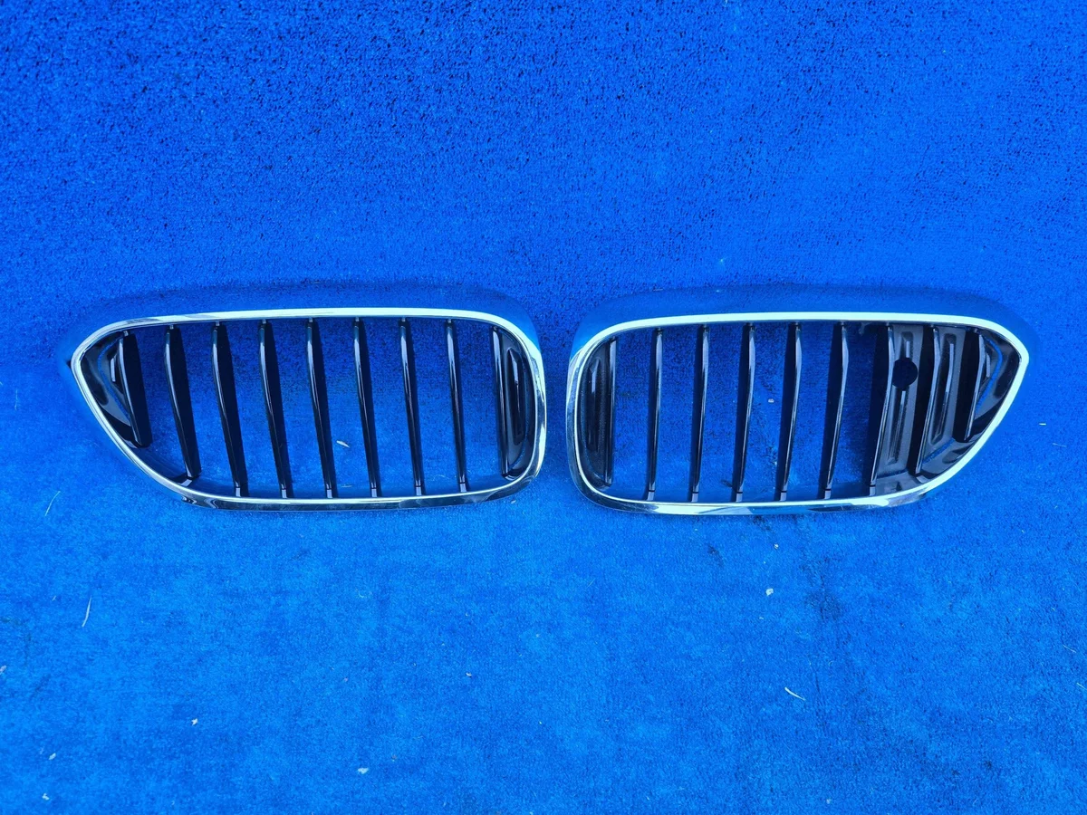 Grille Atrapa Night Vision BMW 5 G30 G31 DWZ12157