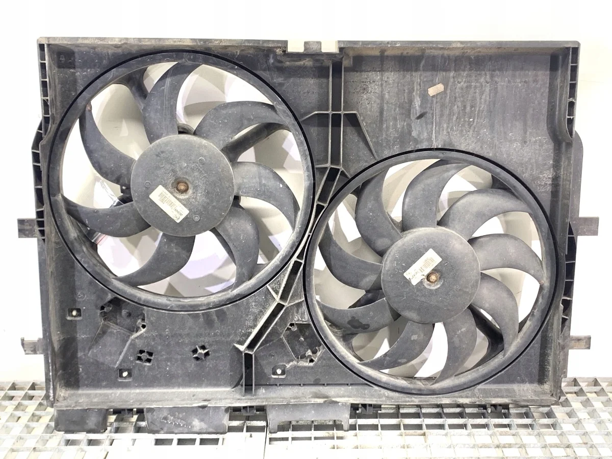 Ventilador Radiador Fiat Ducato III 3.0 Usado