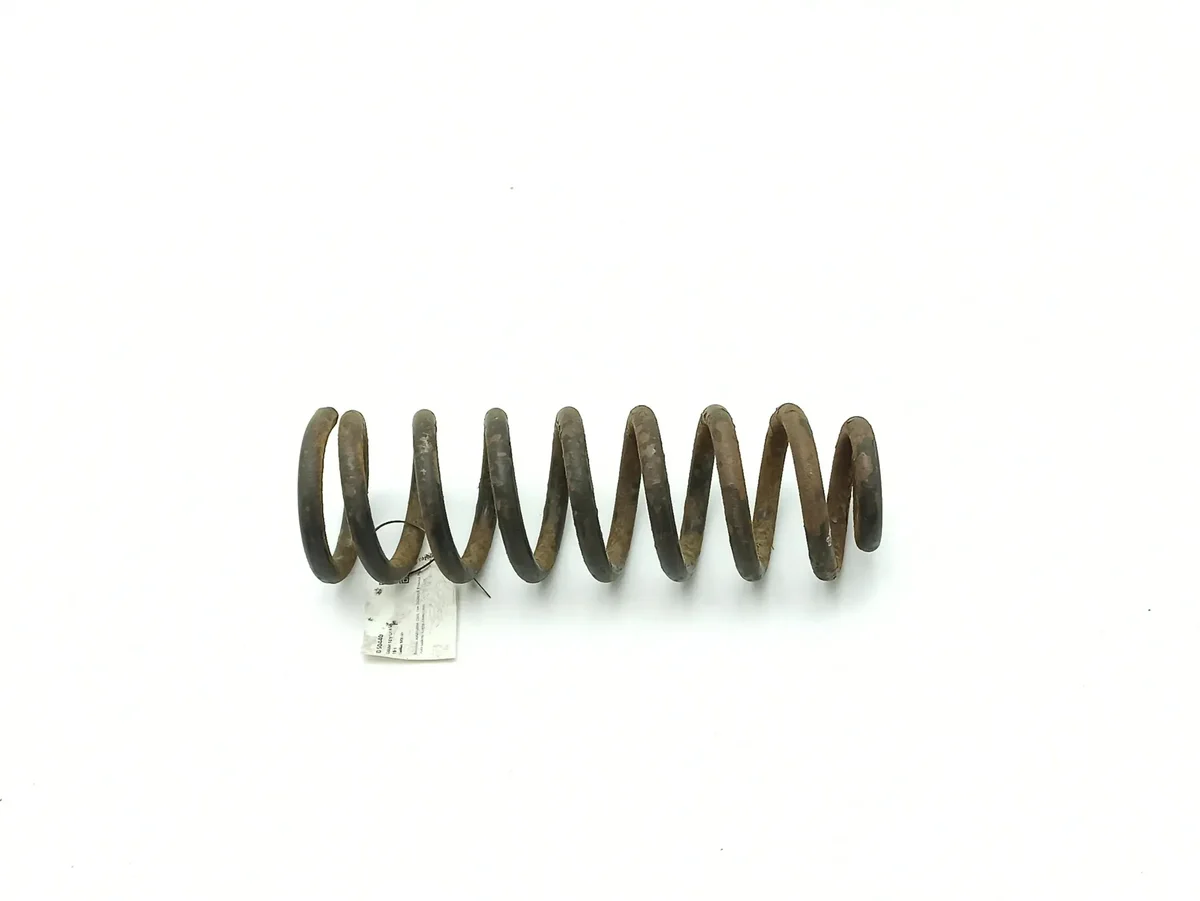 Molla Posteriore Cadillac SRX 1035652 image 4
