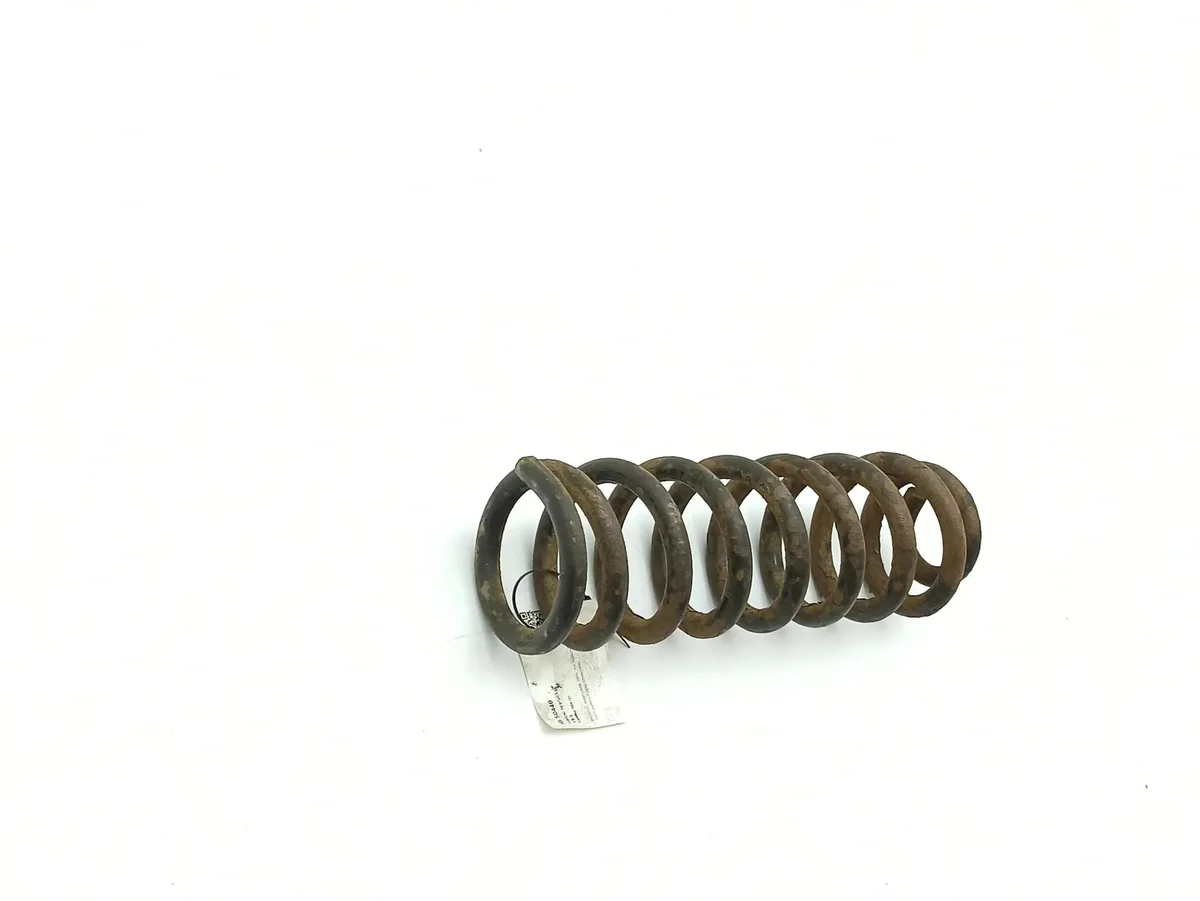 Molla Posteriore Cadillac SRX 1035652 image 5