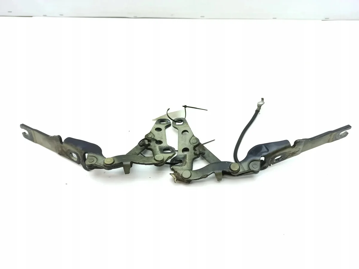 BMW Z4 E85 E86 2005 Cerniere Cofano image 3