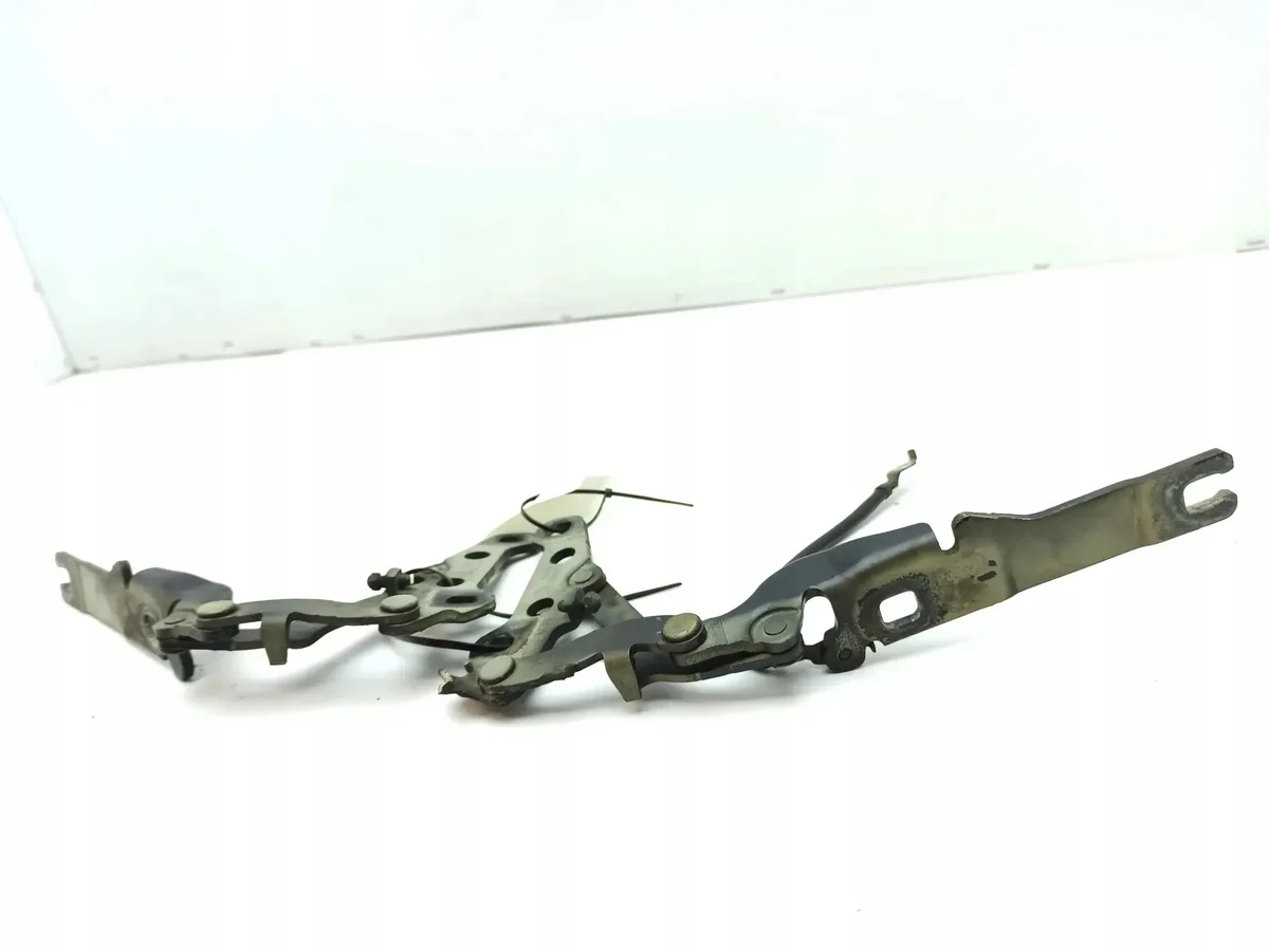 BMW Z4 E85 E86 2005 Cerniere Cofano image 5