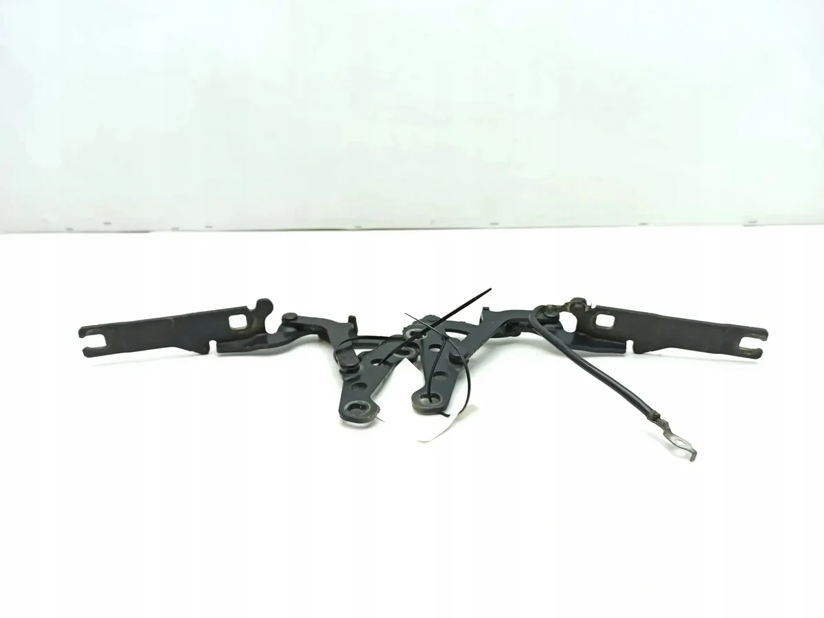 BMW Z4 E85 E86 2005 Cerniere Cofano image 6