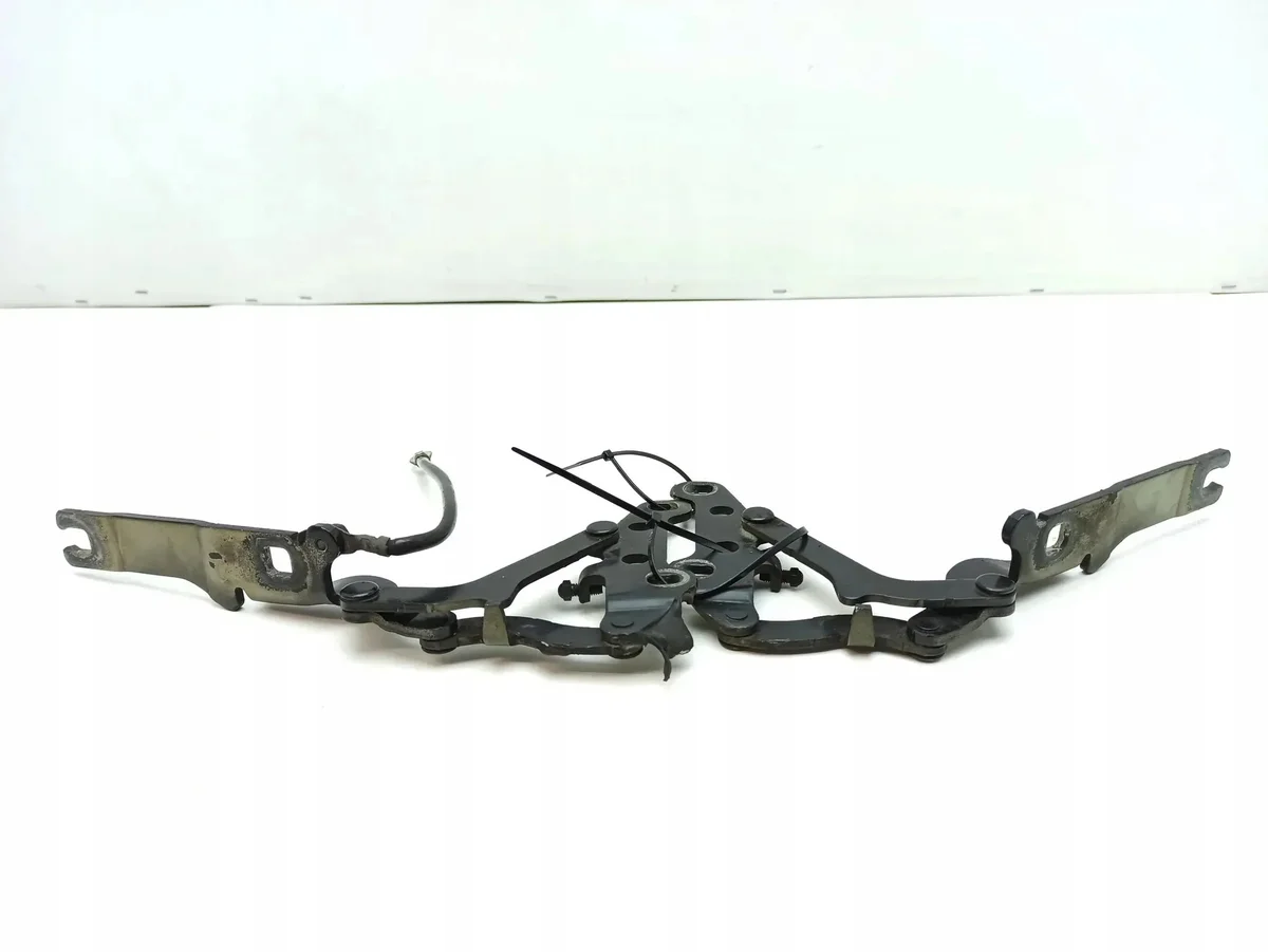 BMW Z4 E85 E86 2005 Cerniere Cofano image 7