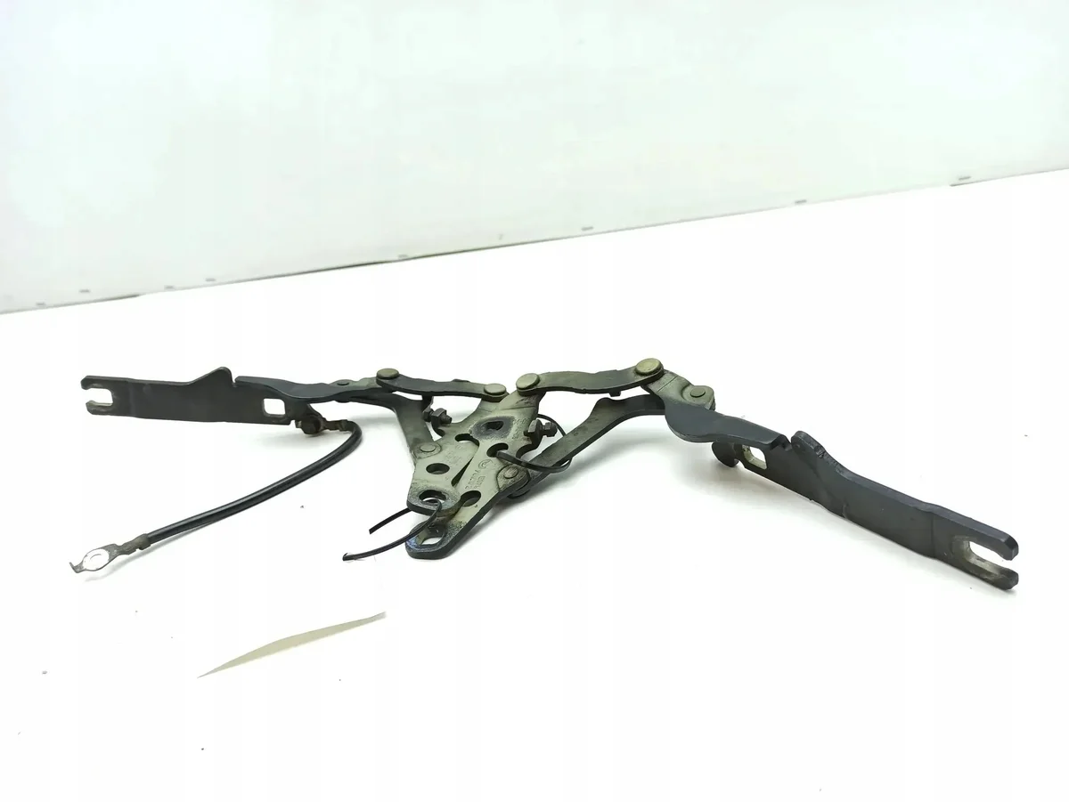 BMW Z4 E85 E86 2005 Cerniere Cofano image 8