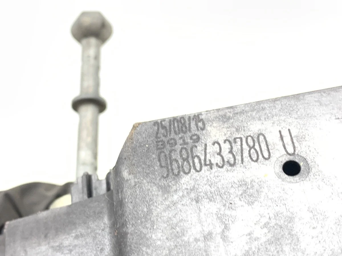 Außentürgriff Links Vorne Citroen C4 Picasso II image 5