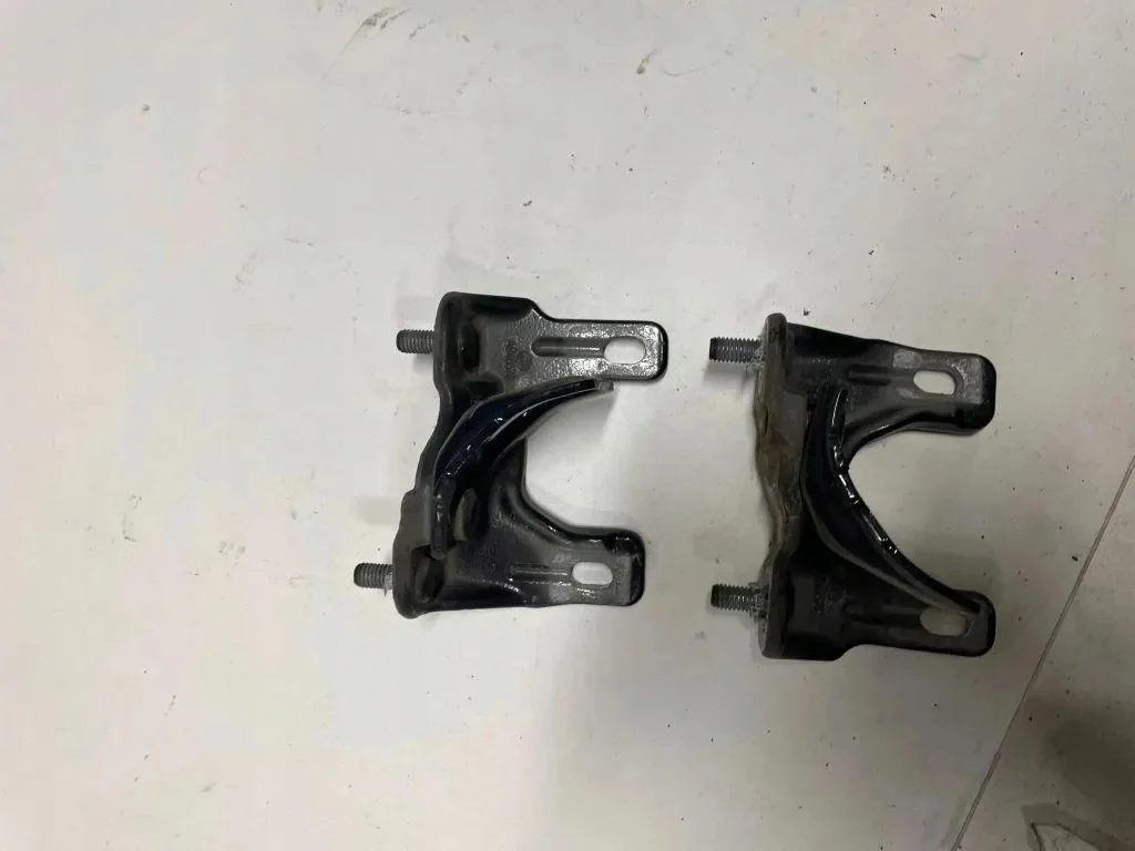Bisagras Portón BMW F31 Touring Usadas