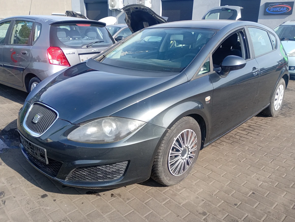 Zijruit Seat Leon 2 II links achter image 4