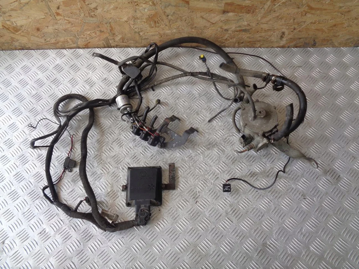Landi Renzo Omegas Evo LPG 616483000
