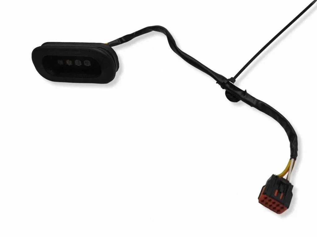 Sensor Porta Renault Master III 252160003R image 3
