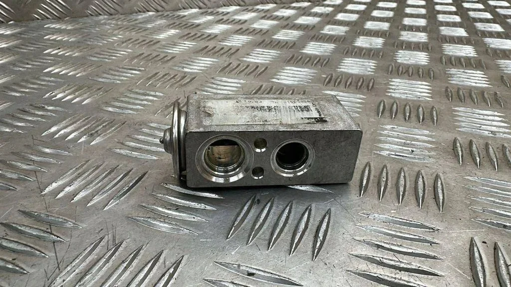 Expansionsventil AC Peugeot 508 52361690 image 3