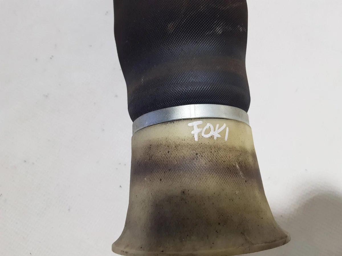 Luftfjädring bak BMW X5 E70 X6 E71 image 3