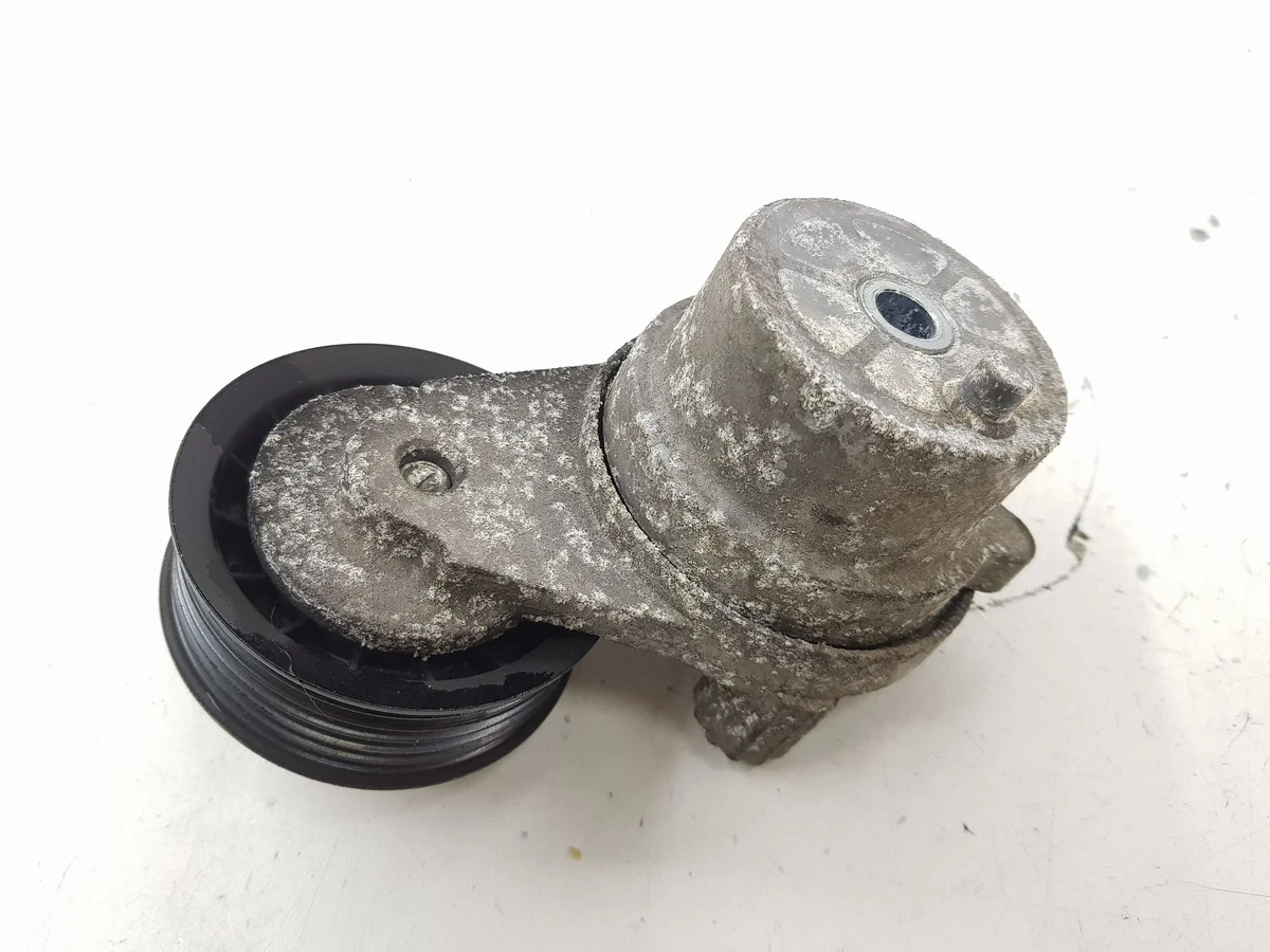 Chevrolet 25182787 Spanner Riem Gebruikt image 3