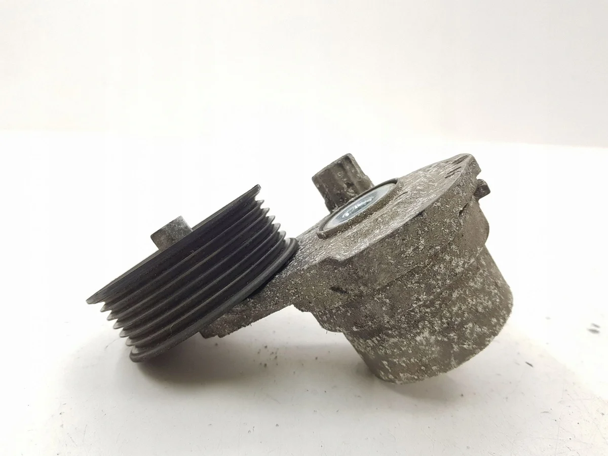 Chevrolet 25182787 Spanner Riem Gebruikt image 4