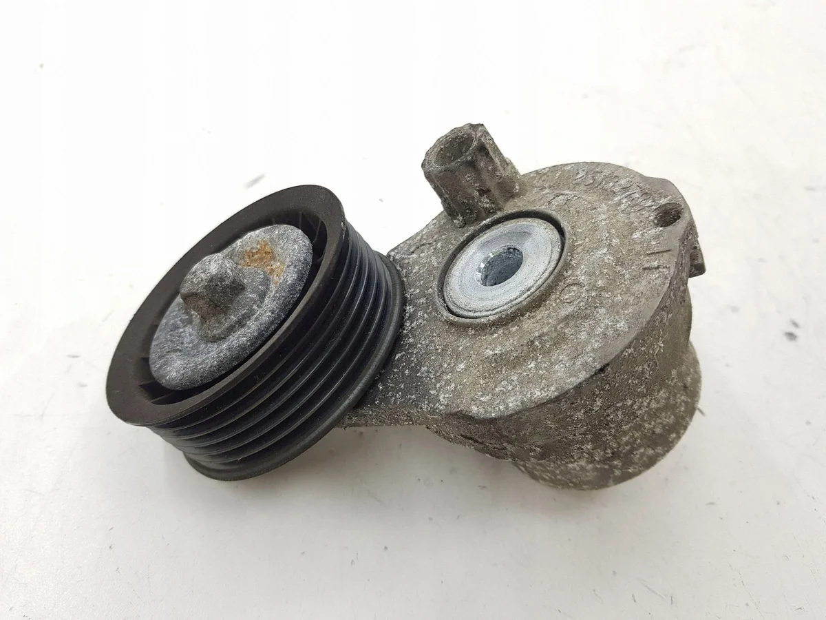 Chevrolet 25182787 Spanner Riem Gebruikt image 5