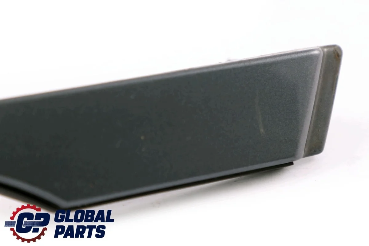 BMW X5 E53 Leiste Sterlinggrau 472 image 10