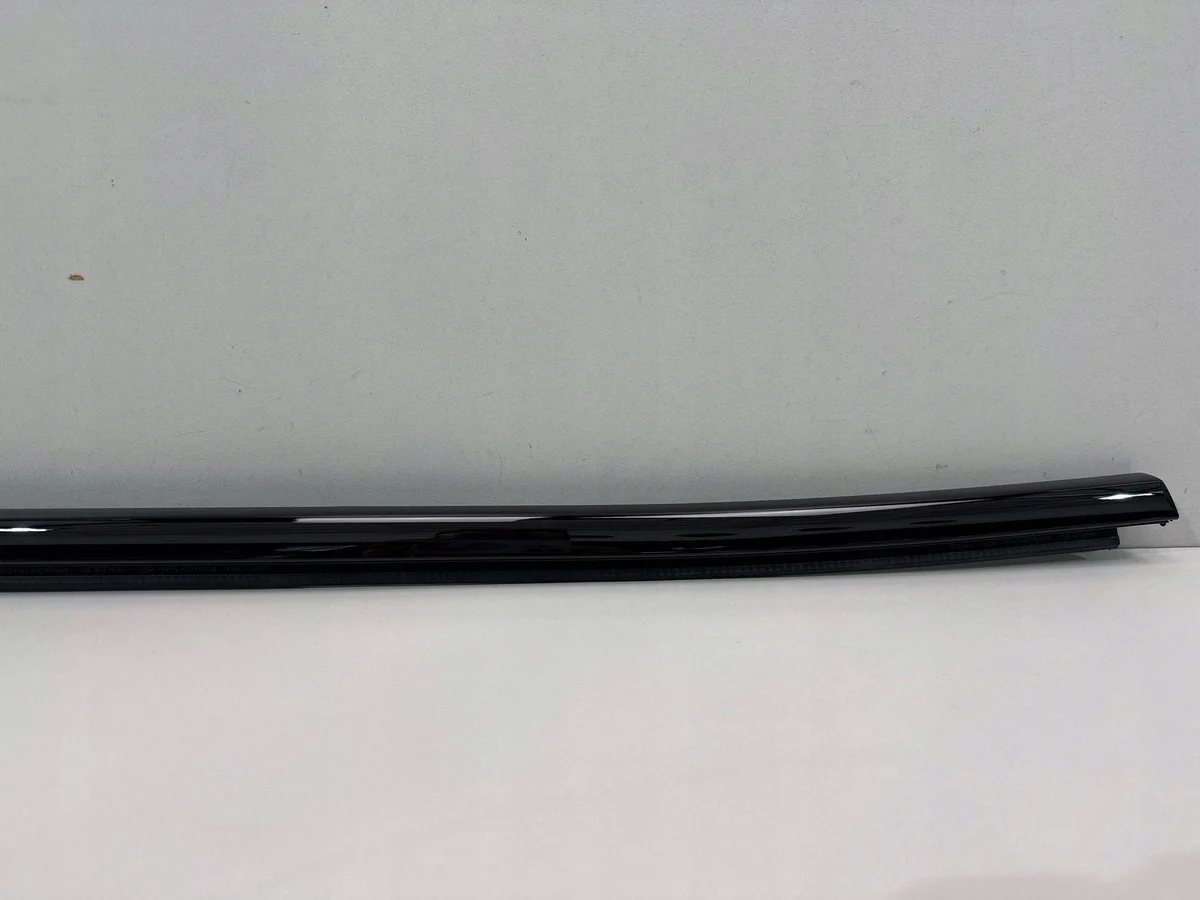 BMW X5 G05 Listón Puerta Izquierdo Trasero image 3