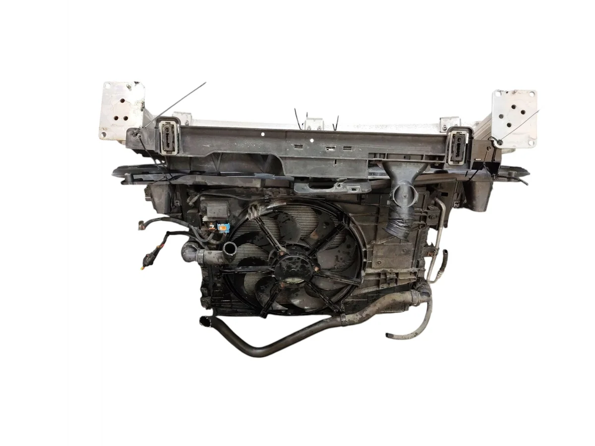 Pannello anteriore Citroen C4 Picasso II image 4