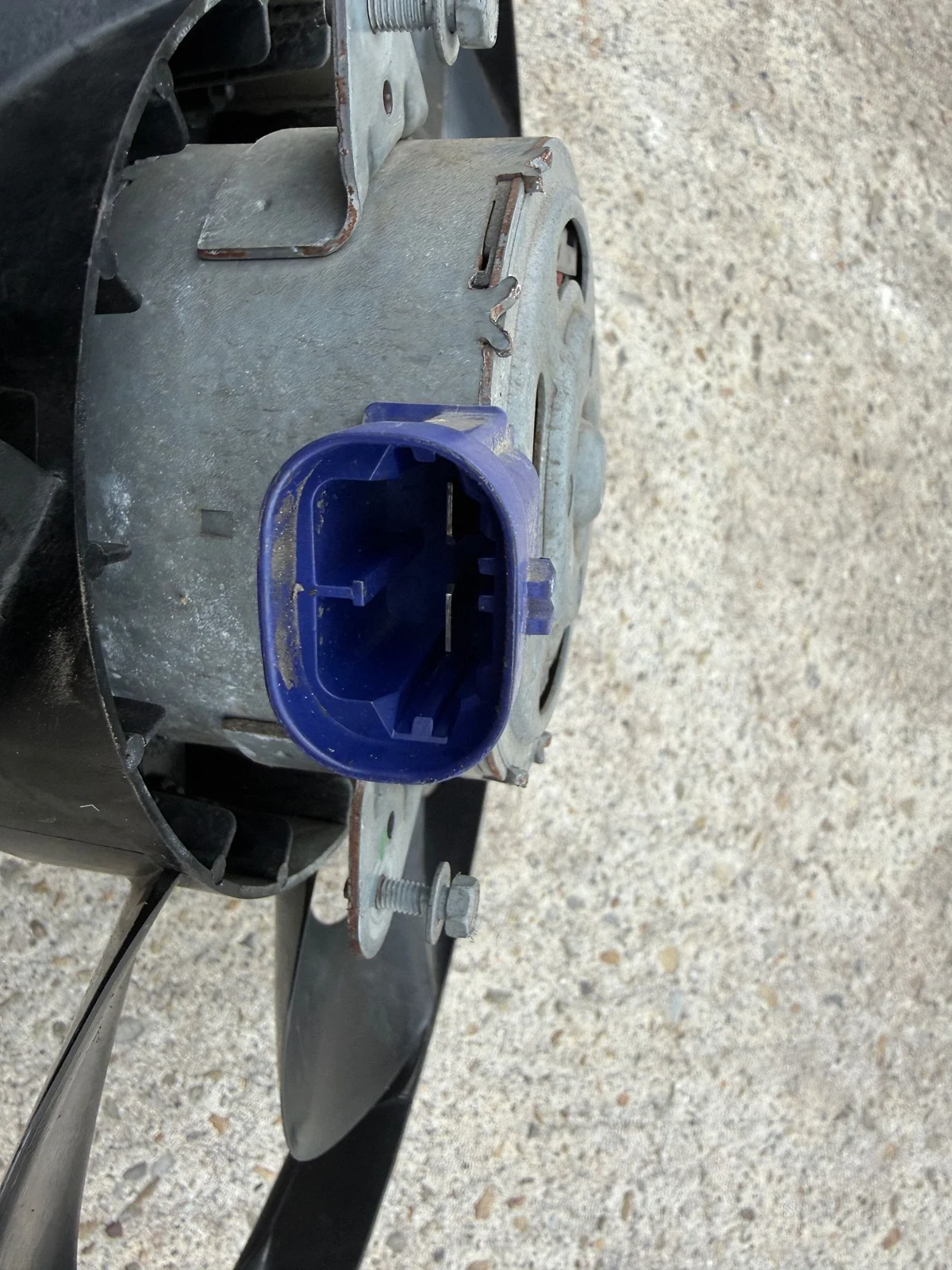 Kühlerlüfter Lüfter Vorne Dacia Logan Sandero SV214110 image 3