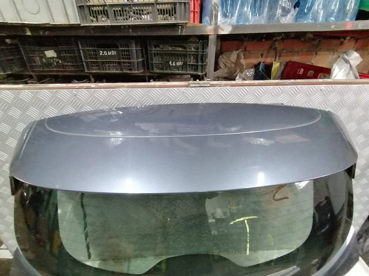Renault Kadjar Portellone Posteriore Usato FRE66401
