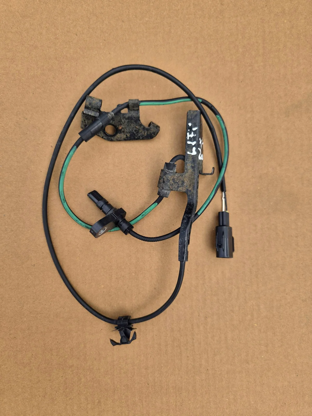 ABS Sensor Rechts Vorne Lexus NX CABSPPLENX1009 image 4