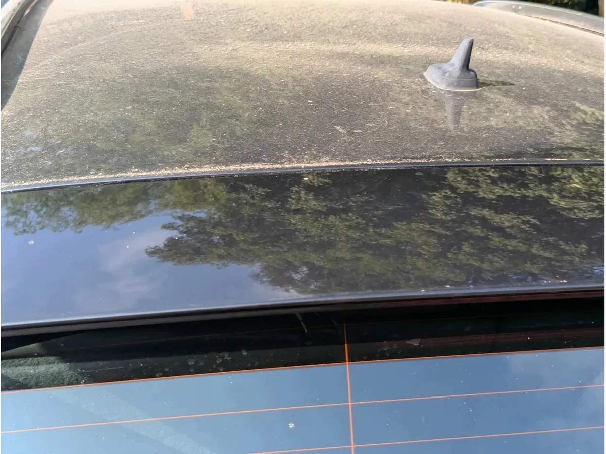 Spoiler coffre Audi Q5 8R S LINE LZ9Y occasion image 4