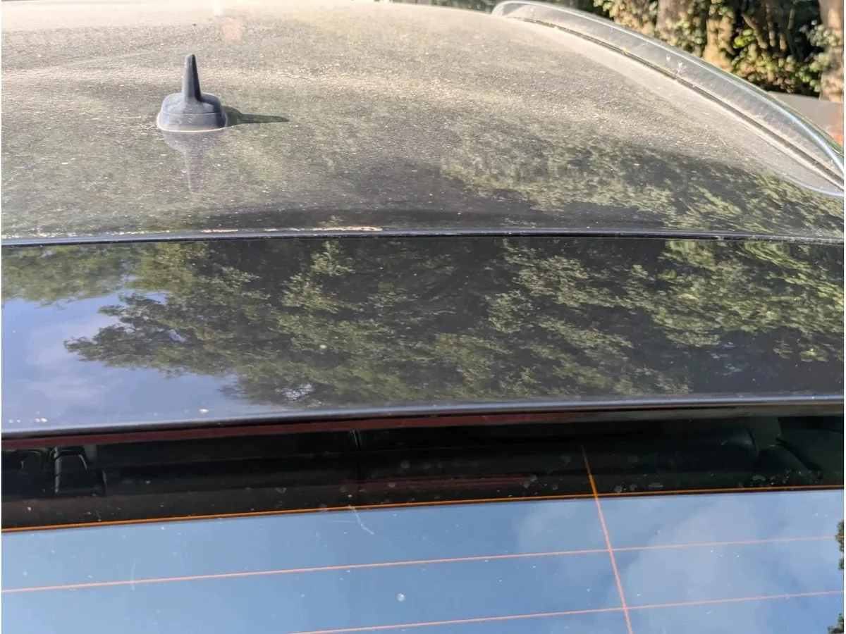 Spoiler coffre Audi Q5 8R S LINE LZ9Y occasion image 5