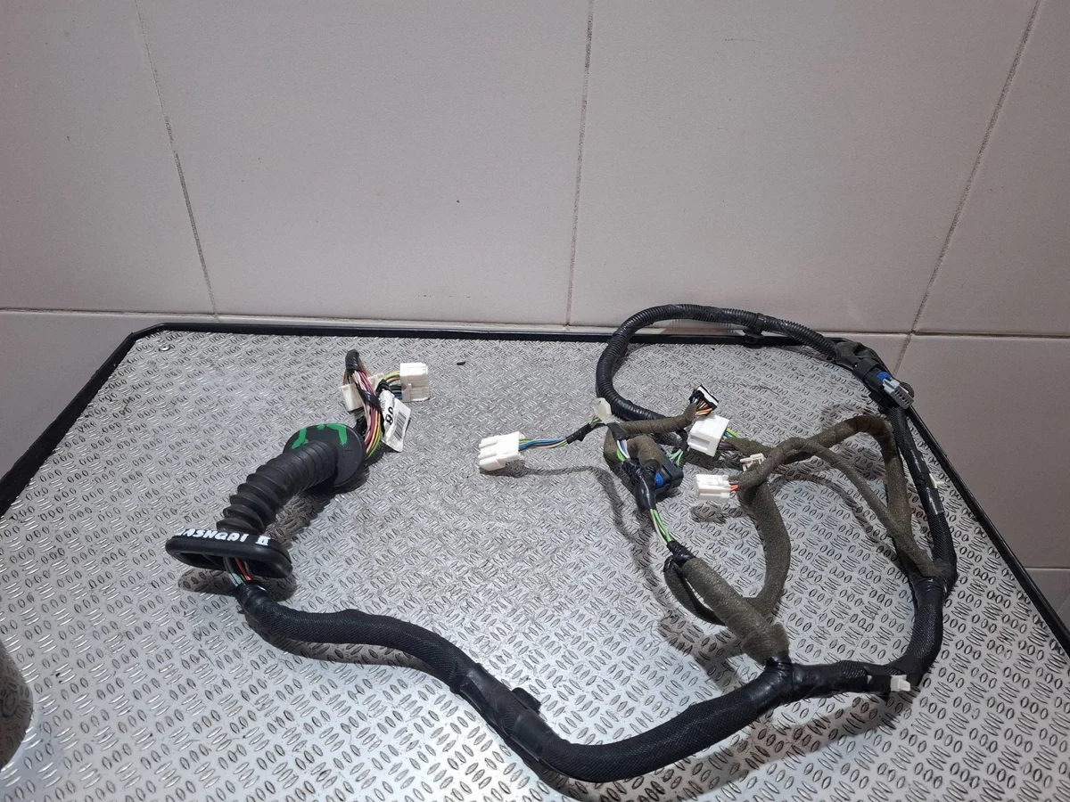 Deurdoorvoer Nissan Qashqai 241254EH3D