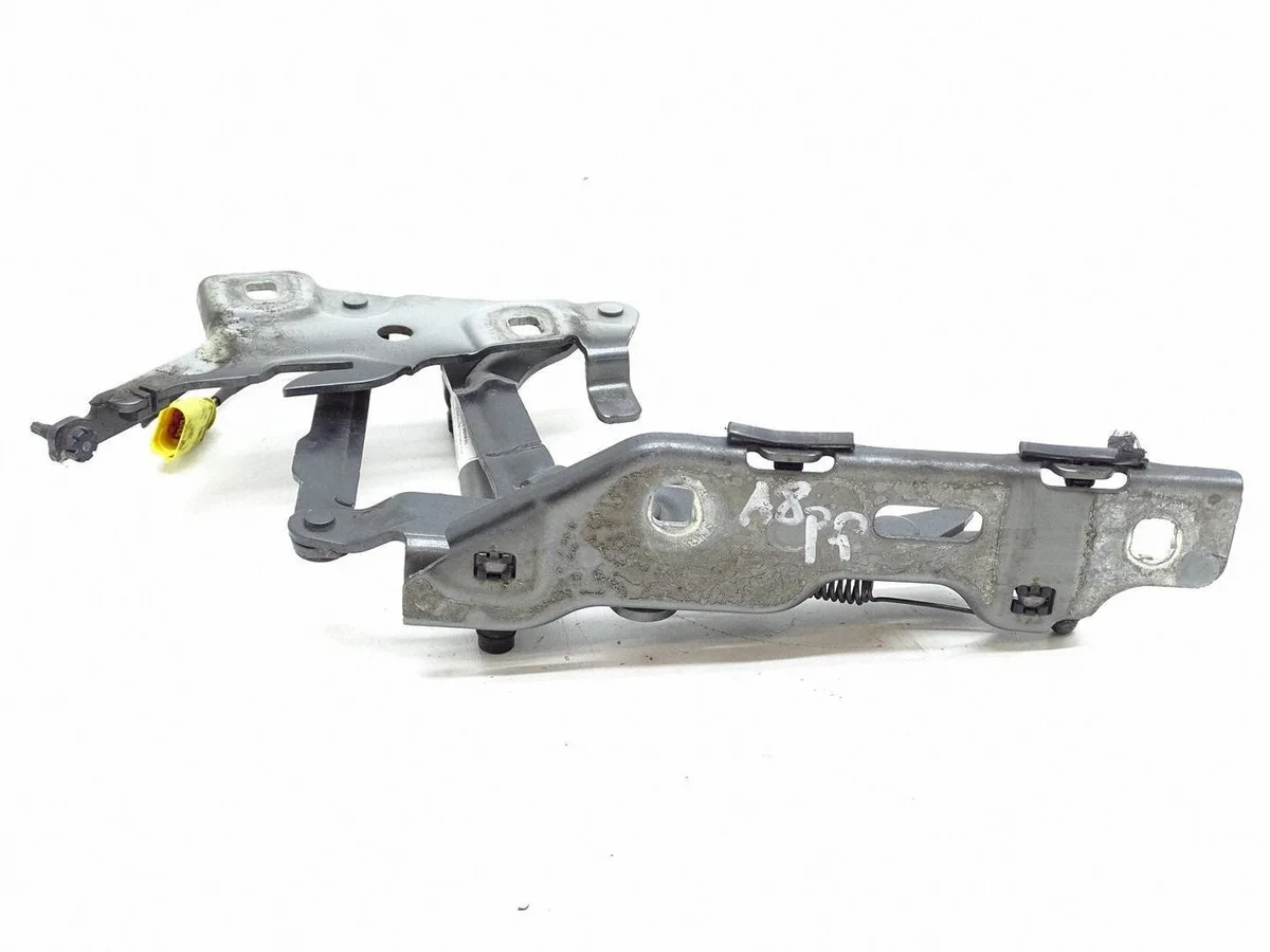Cerniere Cofano Audi A4 B9 8W0823302C image 5