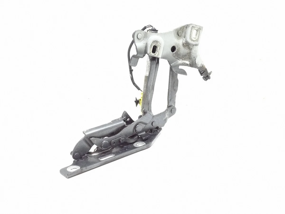 Cerniere Cofano Audi A4 B9 8W0823302C image 8