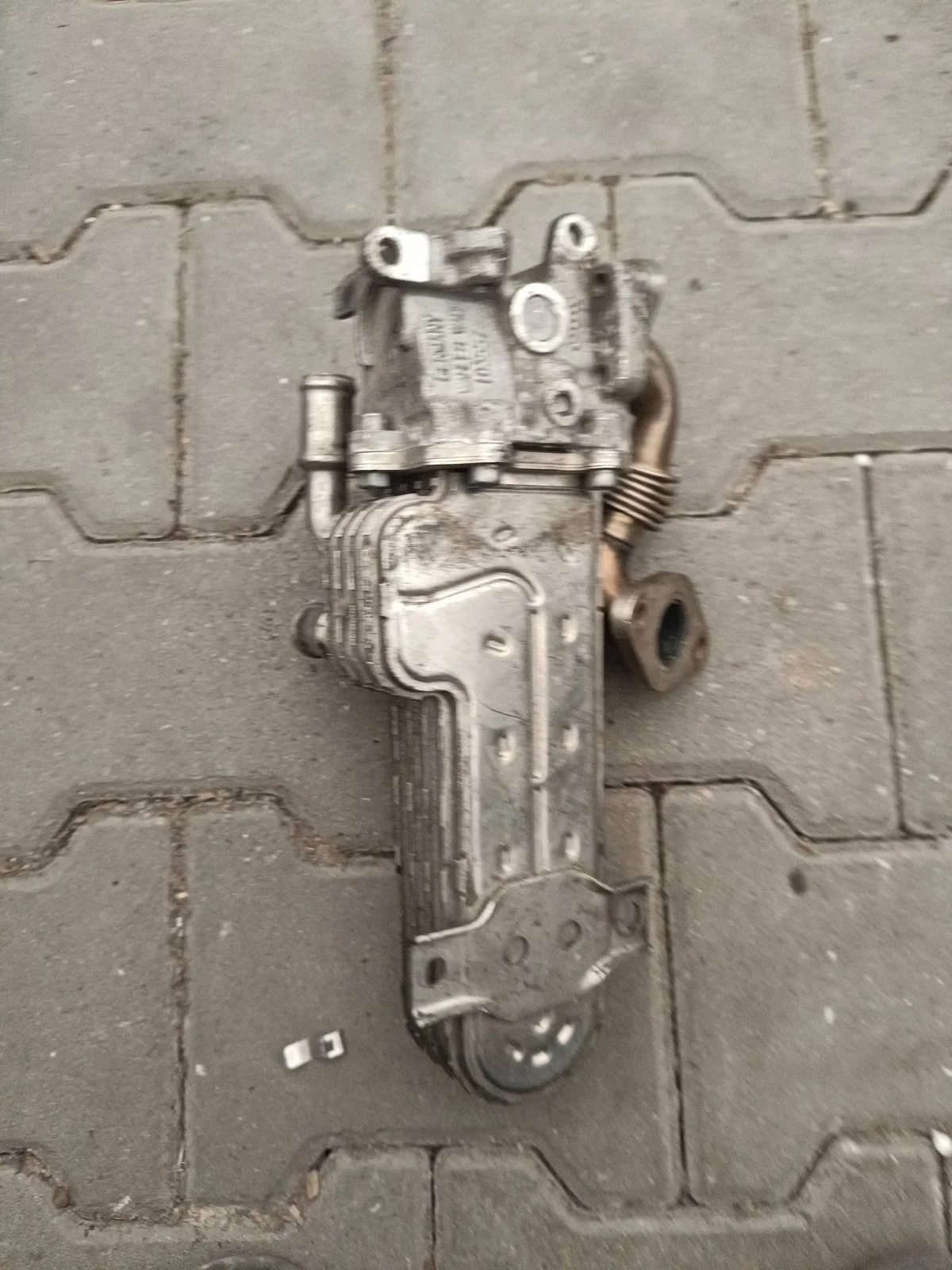 EGR Koeler Renault Scenic III 03G131513J image 3