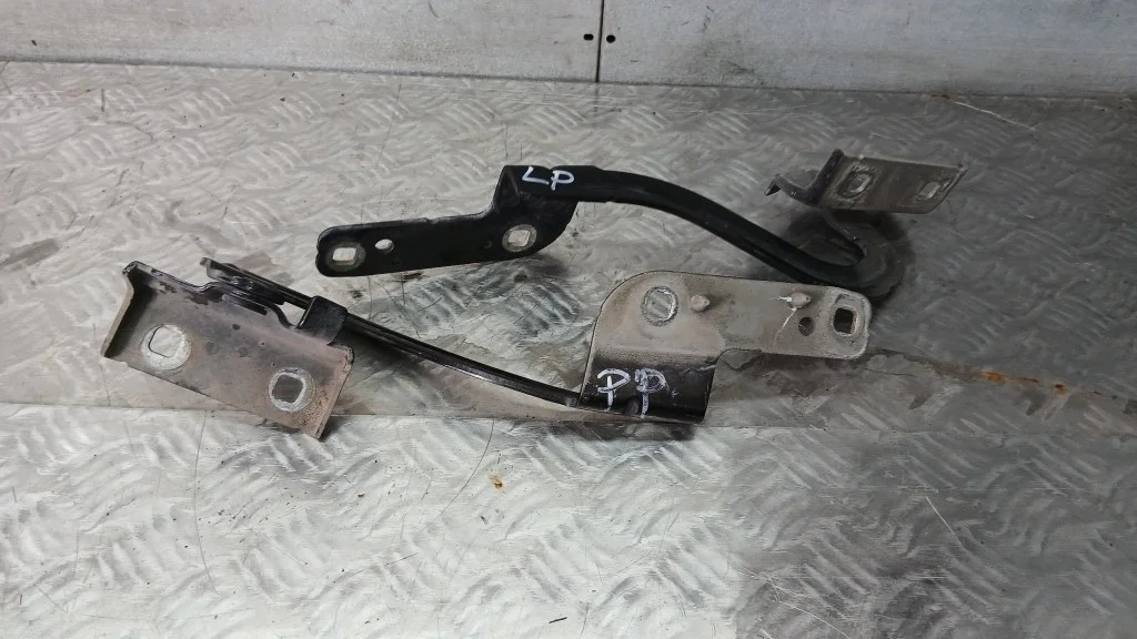 Bisagra Capó Renault Modus I FL 1.2B 07-12