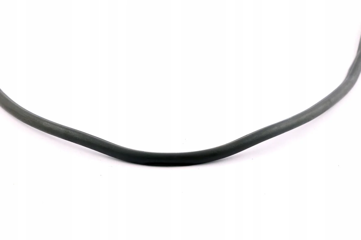 BMW E81 E87 Dichtung Motorhaube Vorne 8045445 image 3