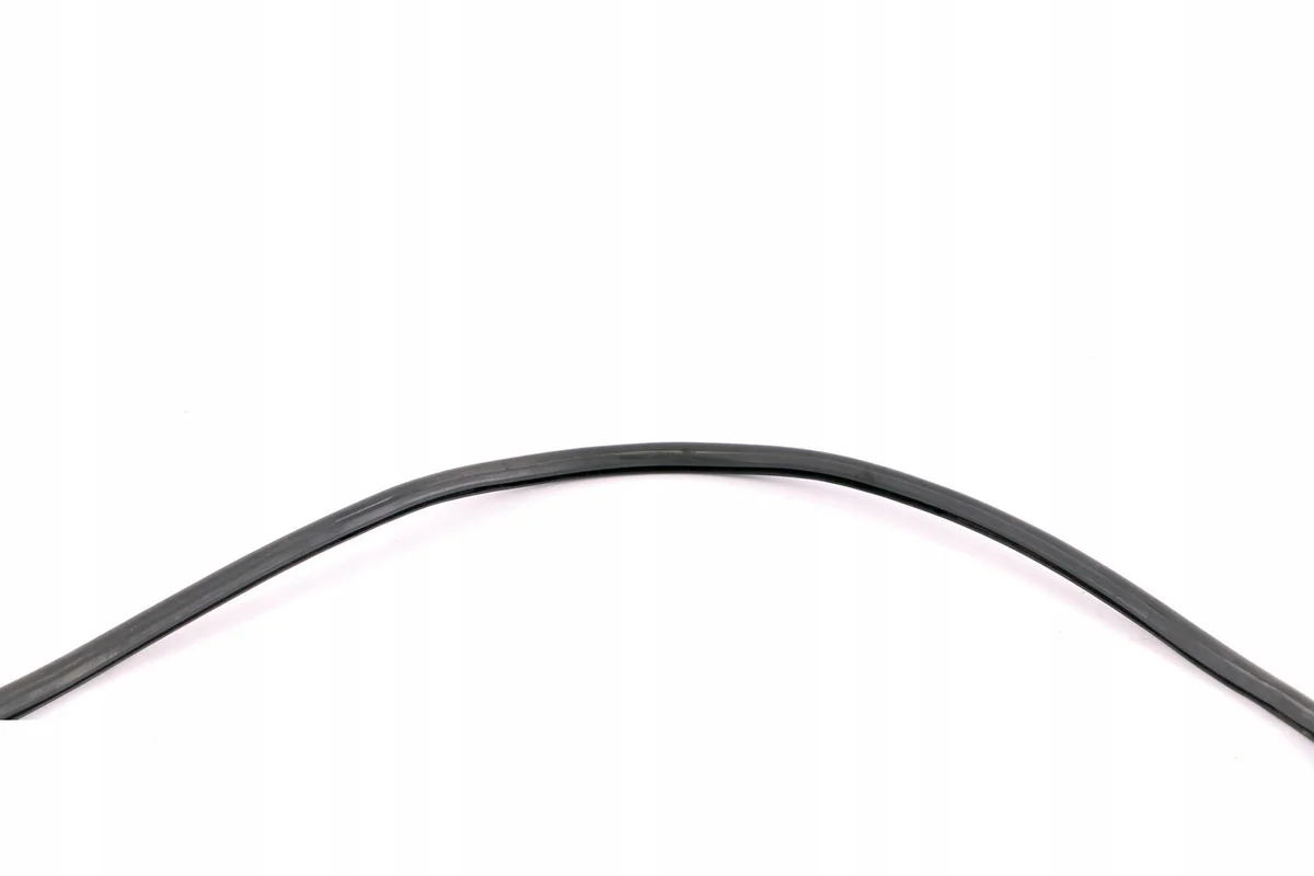 BMW E81 E87 Dichtung Motorhaube Vorne 8045445 image 9