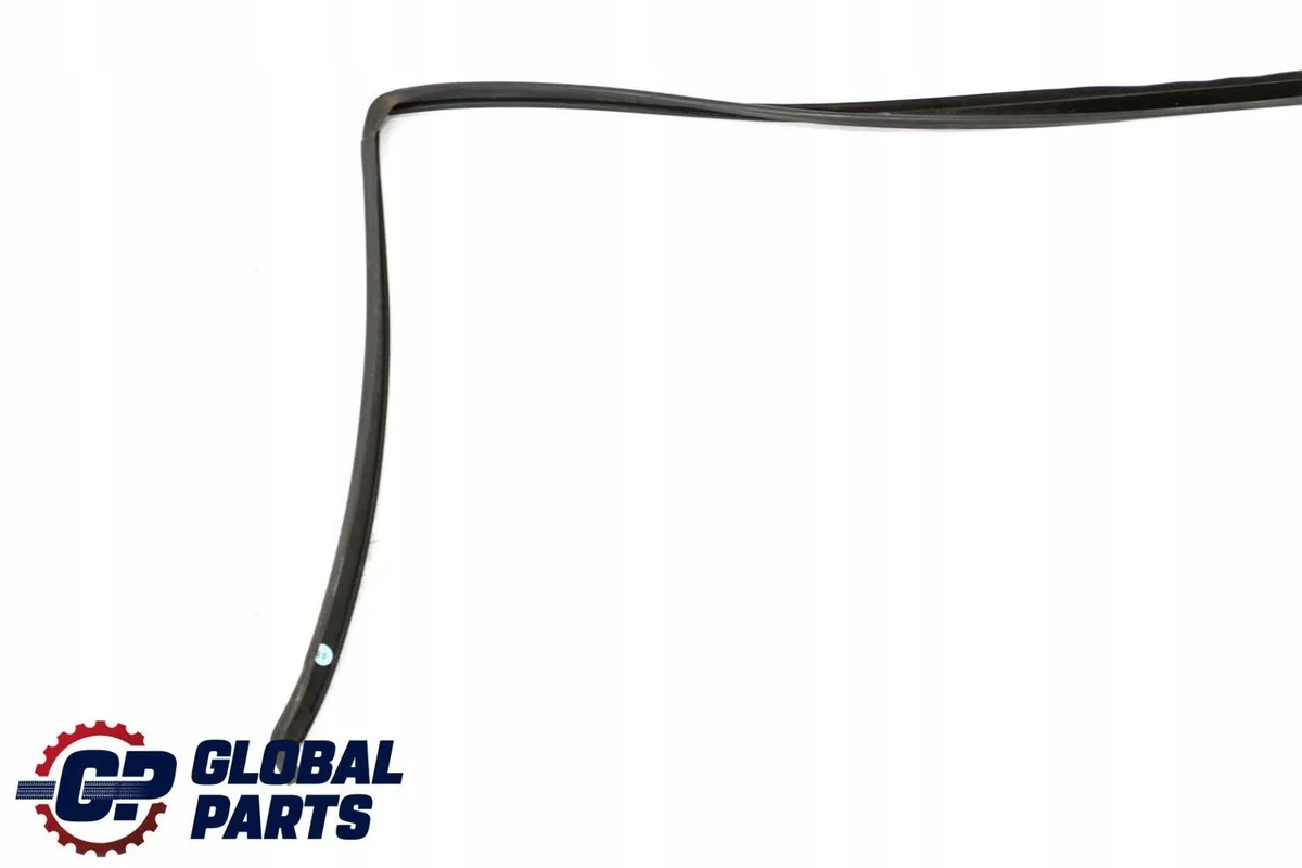 BMW X5 E70 Junta Puerta Izq Tras 7208591 image 4