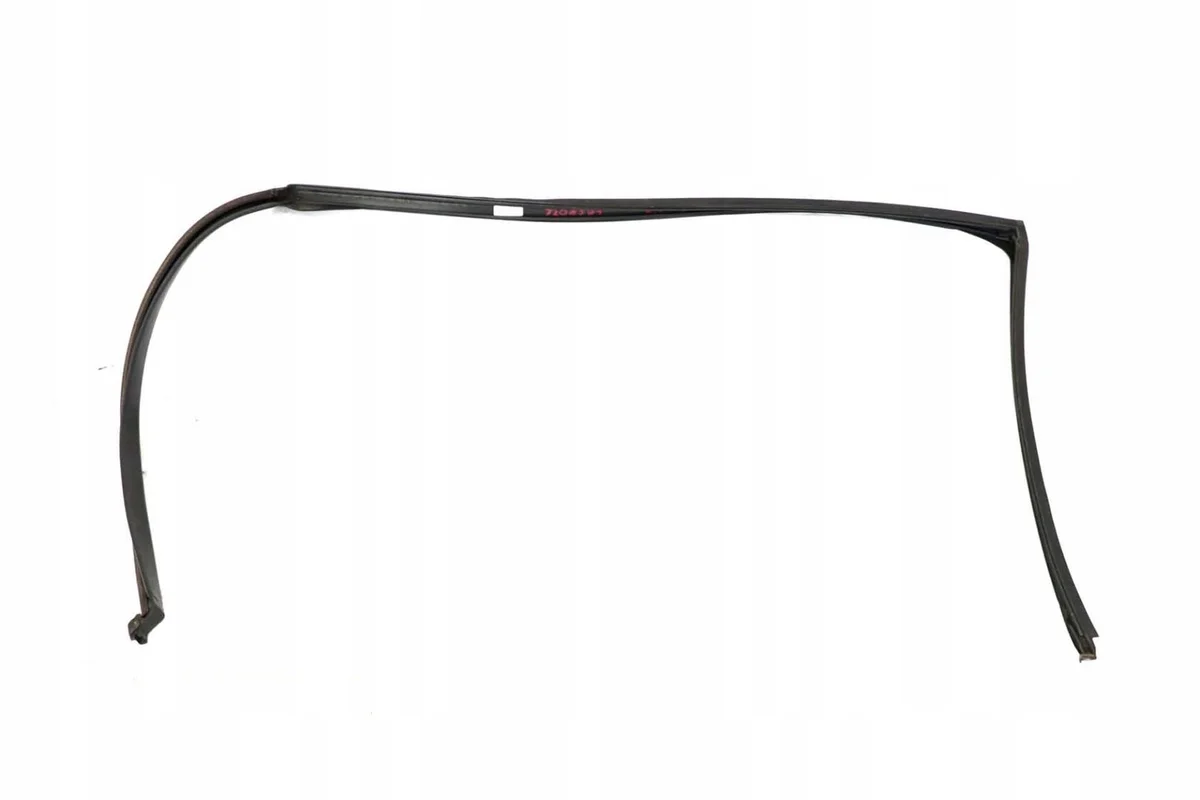BMW X5 E70 Junta Puerta Izq Tras 7208591 image 7