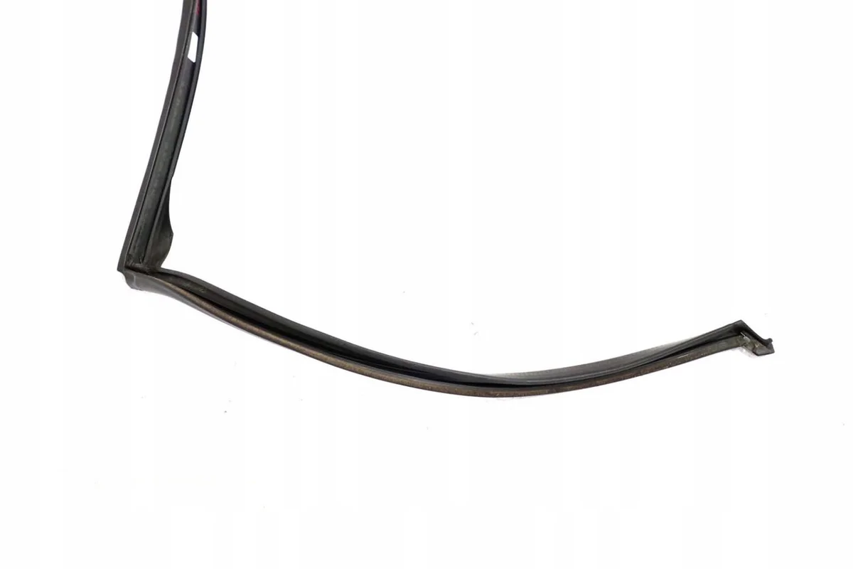 BMW X5 E70 Junta Puerta Izq Tras 7208591 image 9