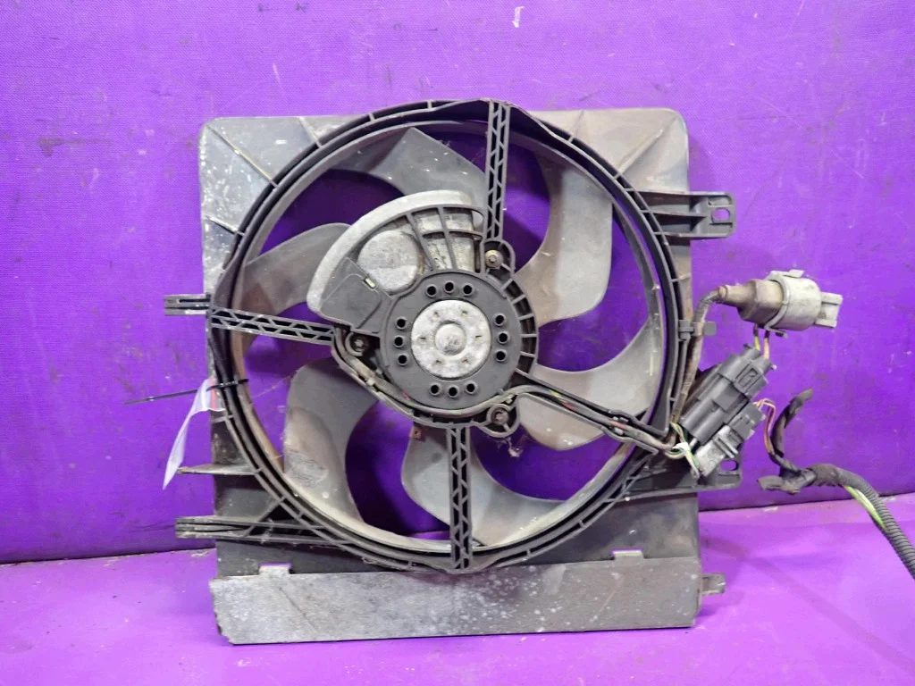Ventilador Radiador Peugeot 1007 1.4 HDI Usado