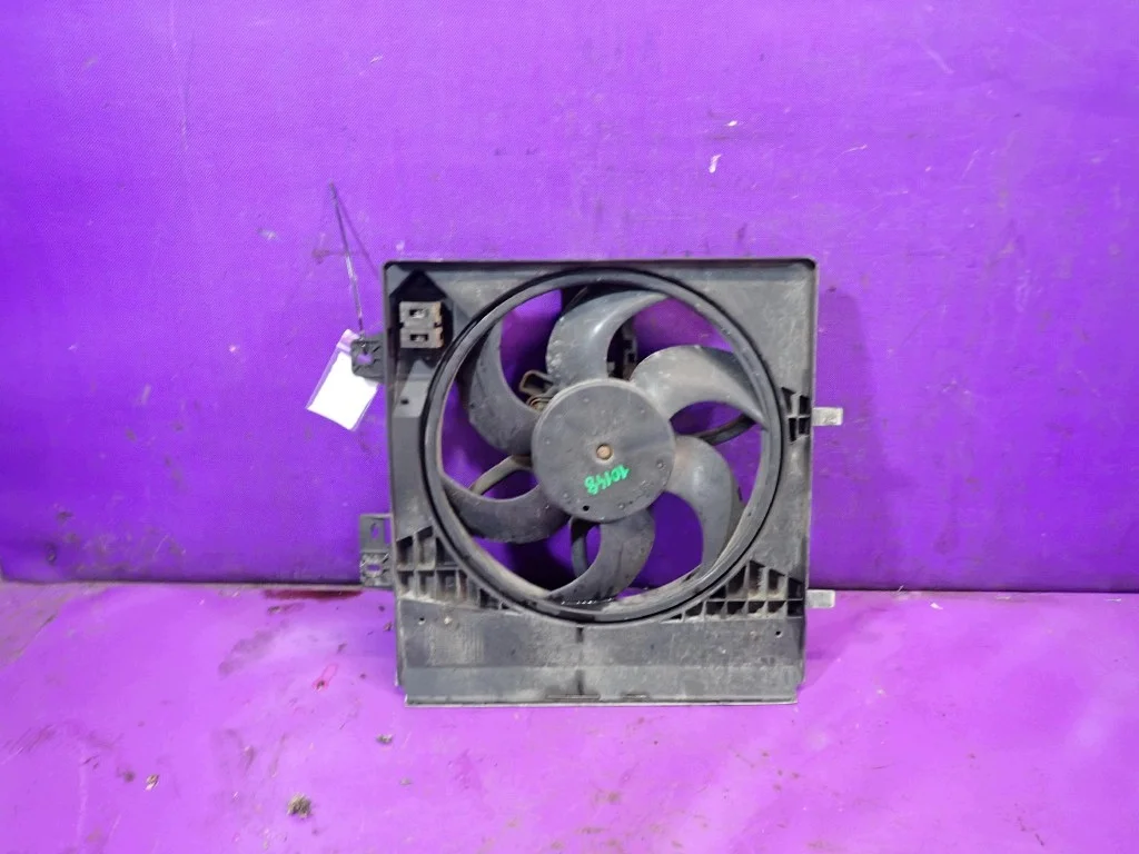 Ventilador Radiador Peugeot 207 1.4 HDI Usado