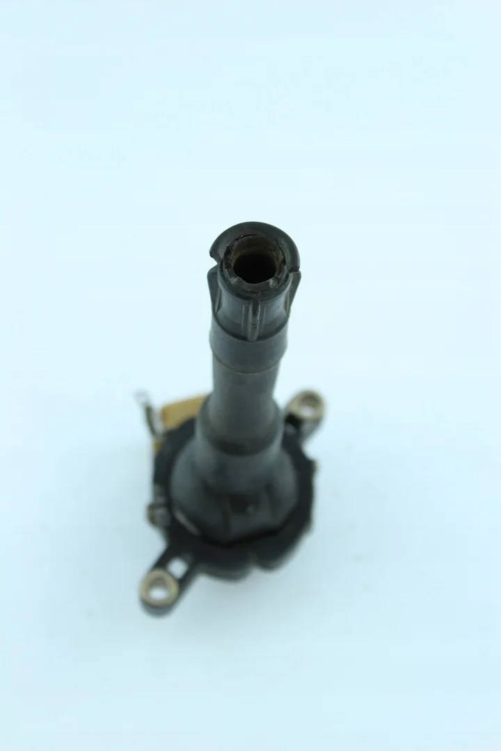 Bobina accensione BMW 1748017