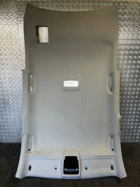Forro de Teto BMW X1 2016 OEM 9127700