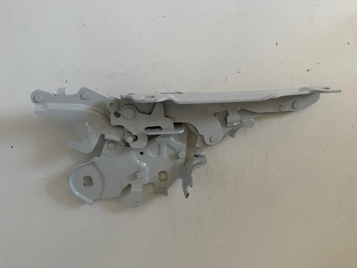 Cerniera Cofano BMW Serie 1 F40 F24 Sinistra