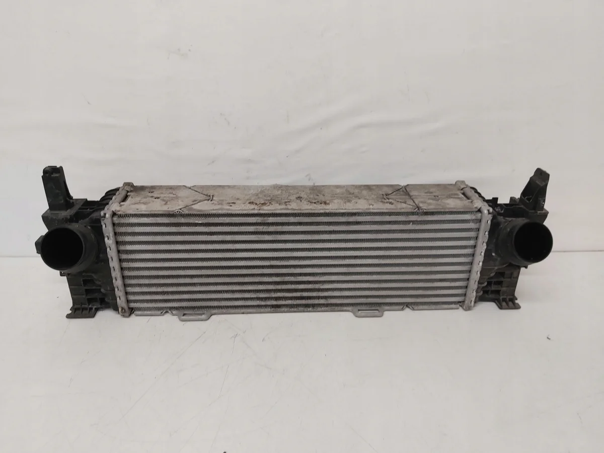 BMW OE 17518578146 Usato
