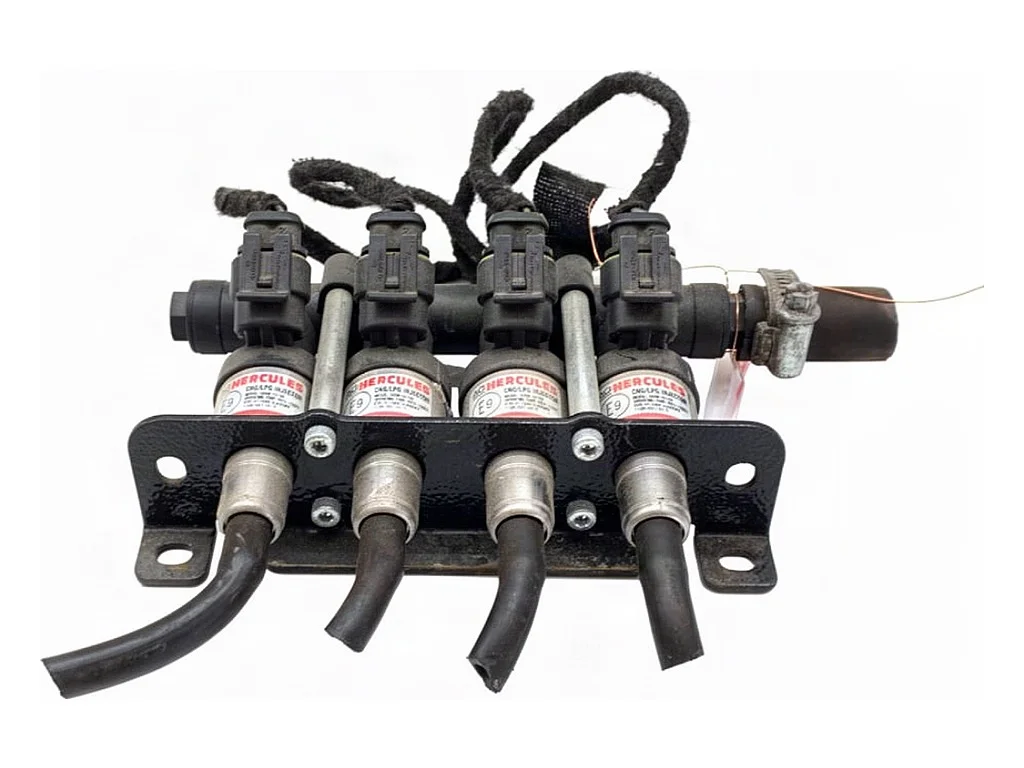 Inyector Gas LPG LORK-212-11340 67R-017407 Usado
