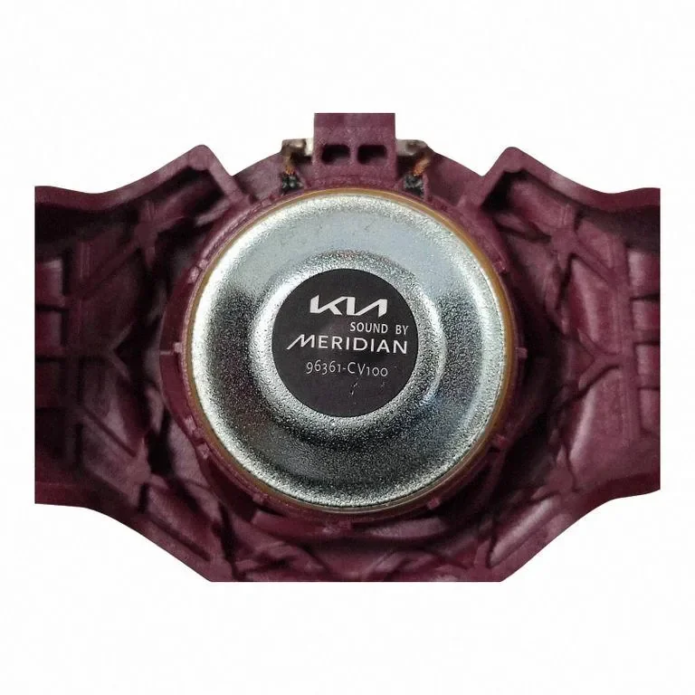 Deur speaker KIA EV6 96360 image 7