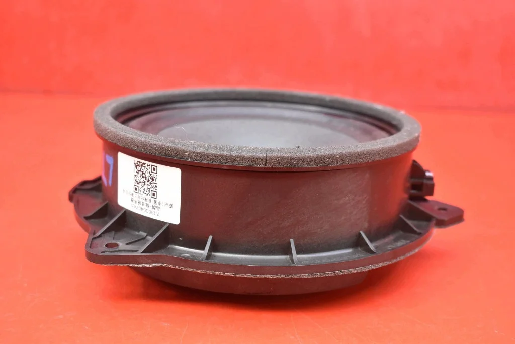 Lautsprecher Links Hinten Jaecoo J7 23- image 6