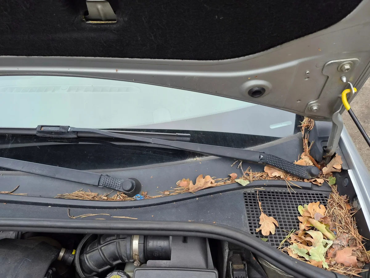 Brazo limpiaparabrisas Renault Clio III AK-12-740009