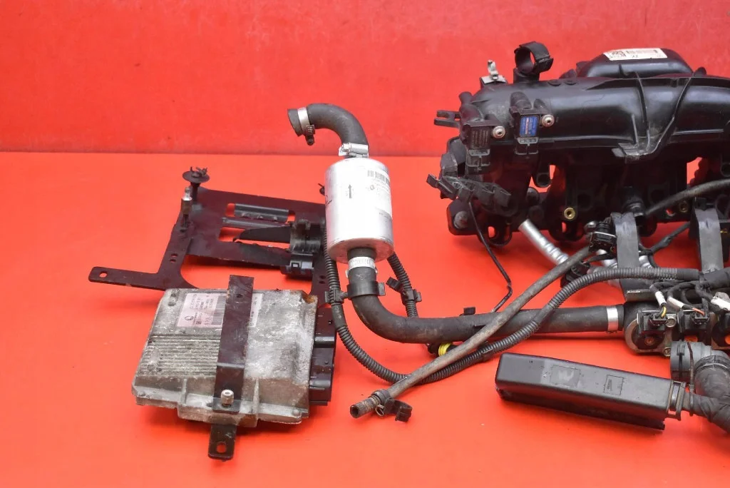 Impianto GPL Landi Renzo 25194624 Usato
