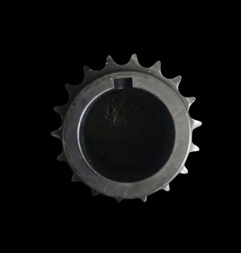 Ingranaggio pompa olio Peugeot Citroen Ford